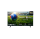 HISENSE 43A6N  Fernseher